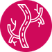 Érsebészet