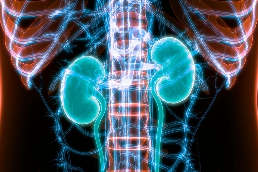 Problémák nemek szerint