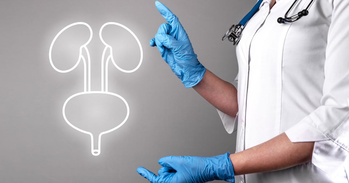 Férfi és női hormonális változások hatása a húgyutakra